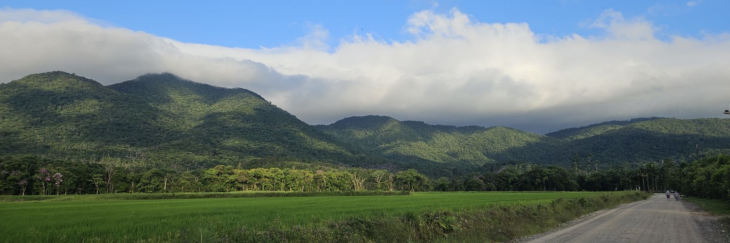 walv's profile banner image