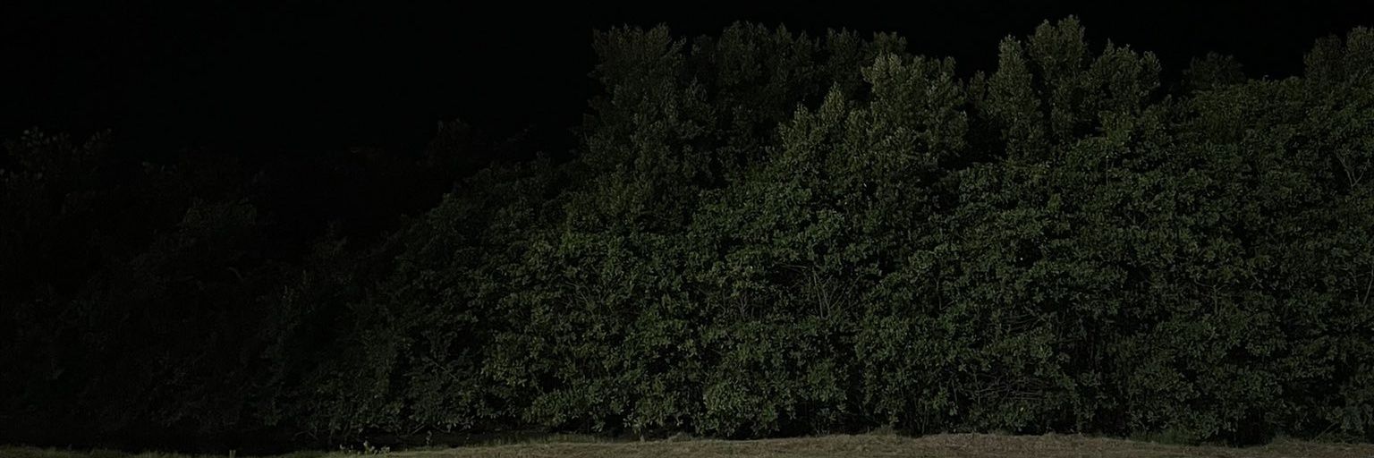 Rogério banner