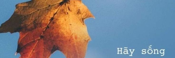 BrightNguyen's profile banner image