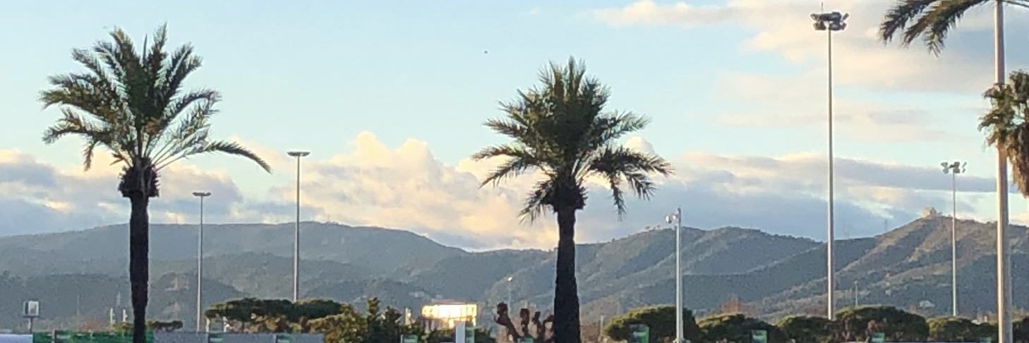 Jülide Hanoğlu banner