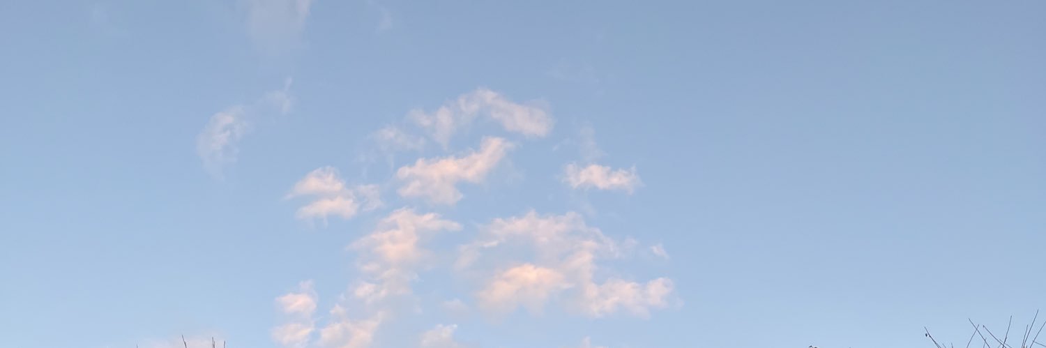 mayushome's profile banner image