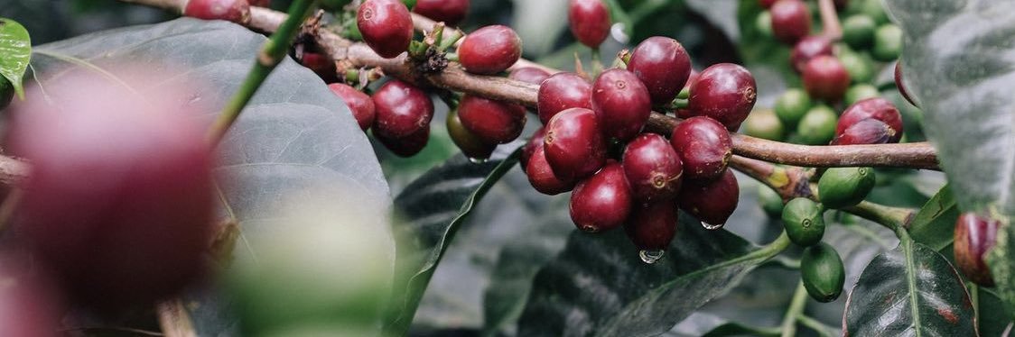 L.A sports center banner