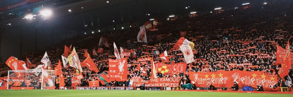 Louis V's banner