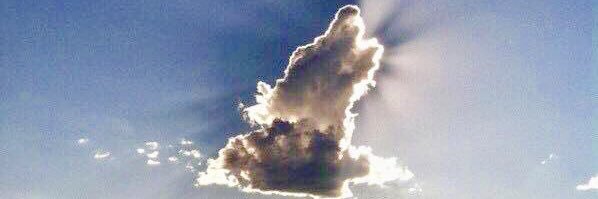 BattleBorn1864🐺🏈🏀 banner