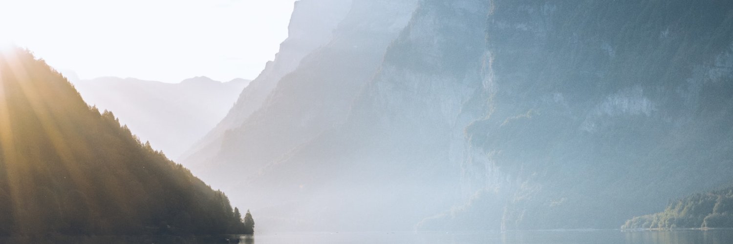 Carol Choi banner