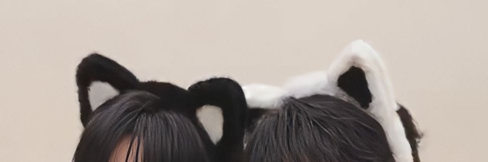 ฟอคิม.(ᓀ‸ᓂ) banner