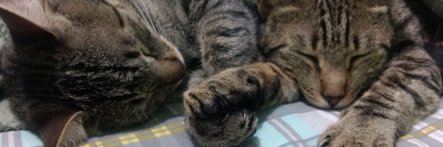 gianeab's profile banner image