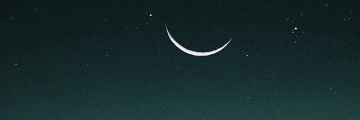 tuqmirase's profile banner image