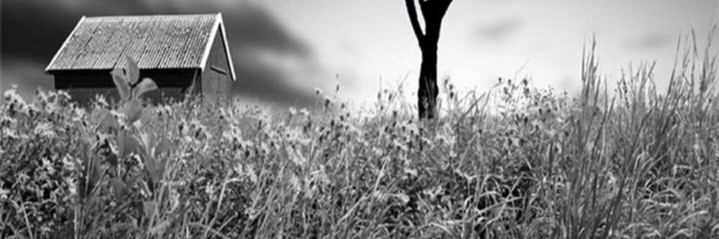 vicmen_22's profile banner image