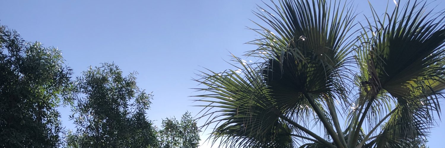 clementine_andy's profile banner image