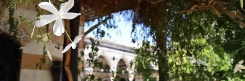 queenraniah's profile banner image