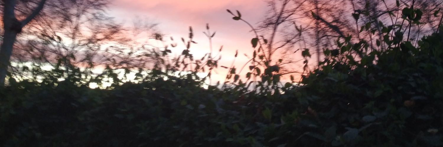 aelisabeth44's profile banner image