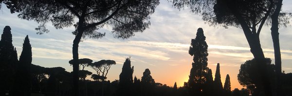 georgjade Profile Banner