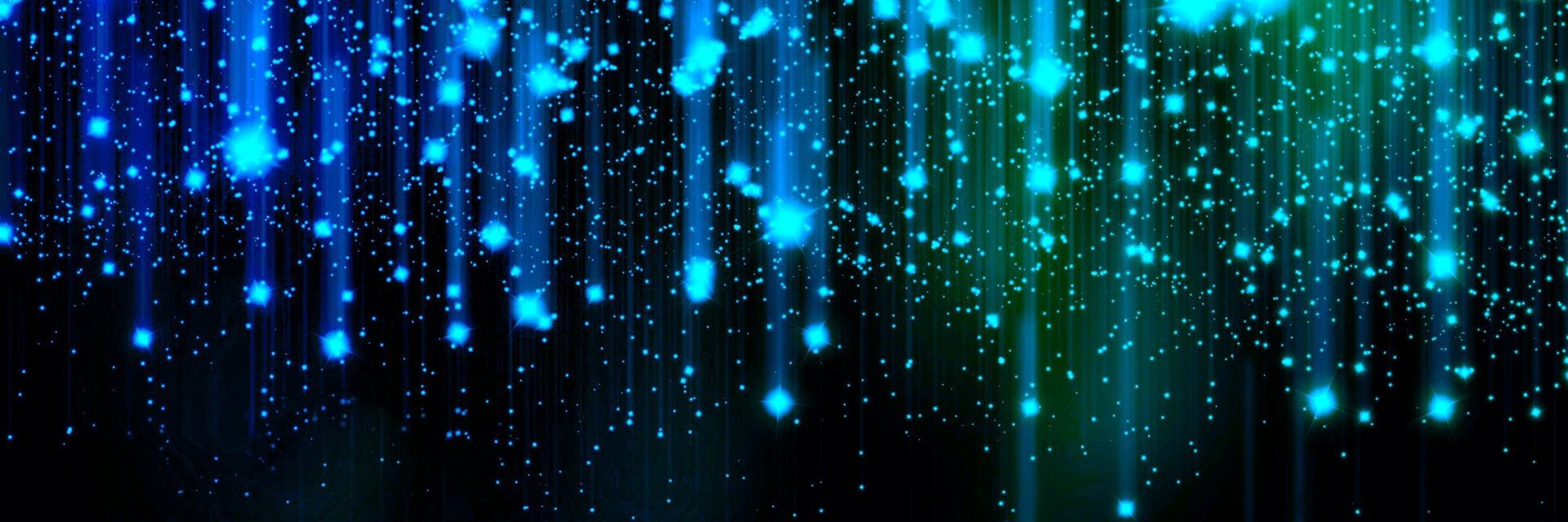 carol marttiny banner