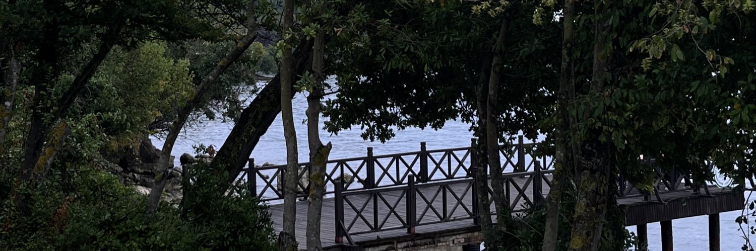 umranozcn's profile banner image