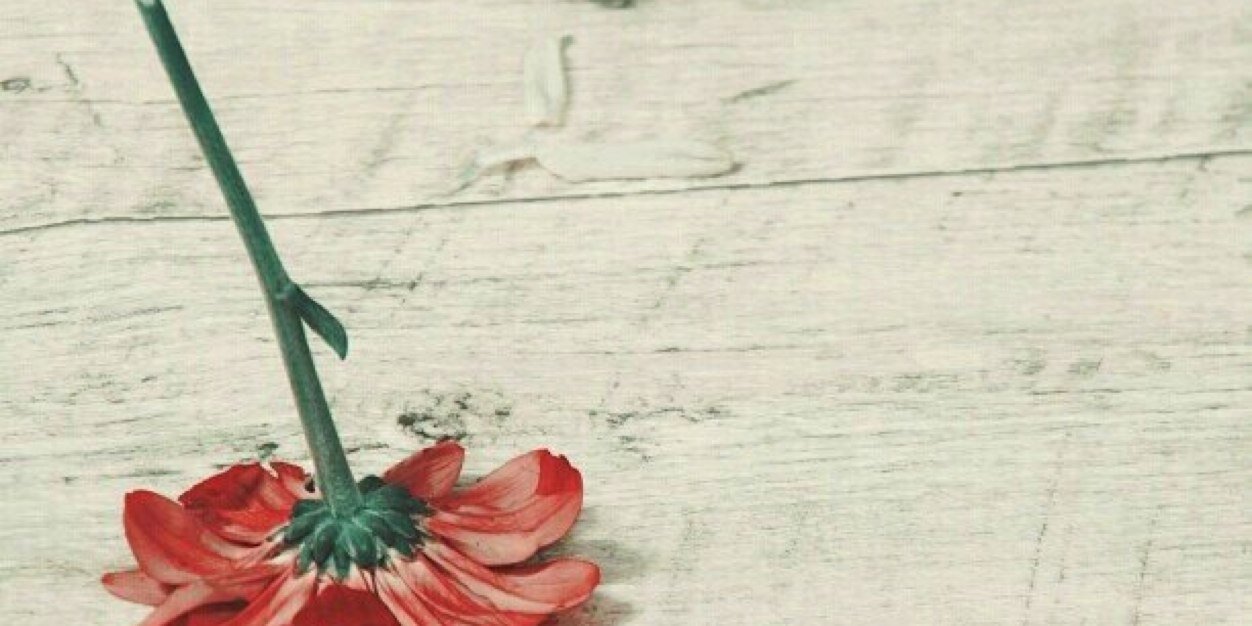 NXXZ's profile banner image