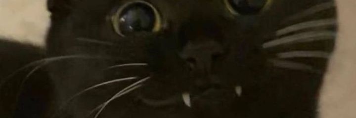 ayyyyle's profile banner image
