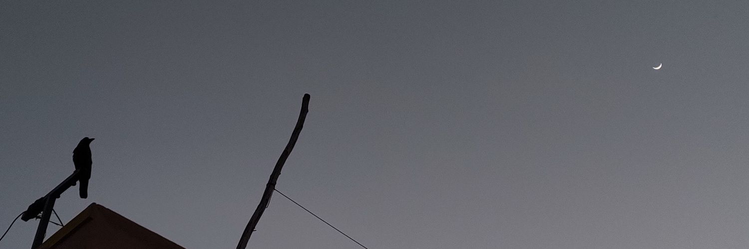 Seenudirector's profile banner image
