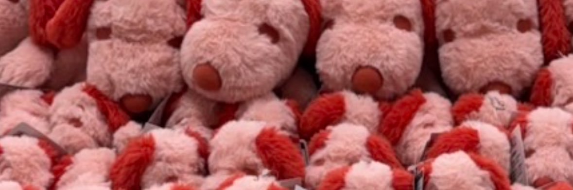 ころちゃん🦭 banner