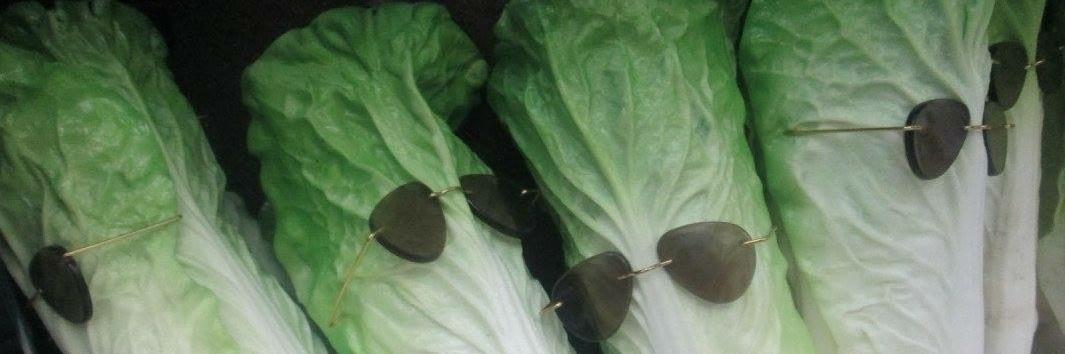 La RuBisCO es lo más banner