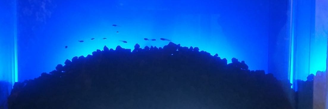 budimet2's profile banner image