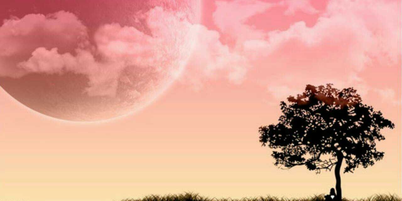 yolan2709's profile banner image