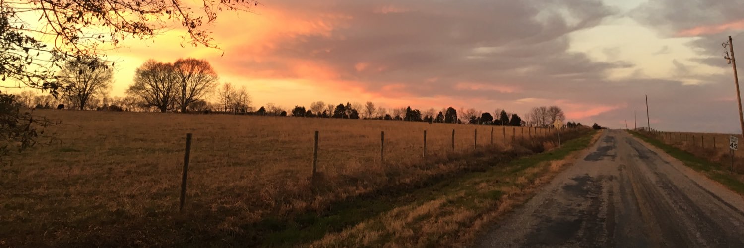 JulieCTangle's profile banner image