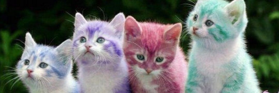 BoyrazBahattin's profile banner image