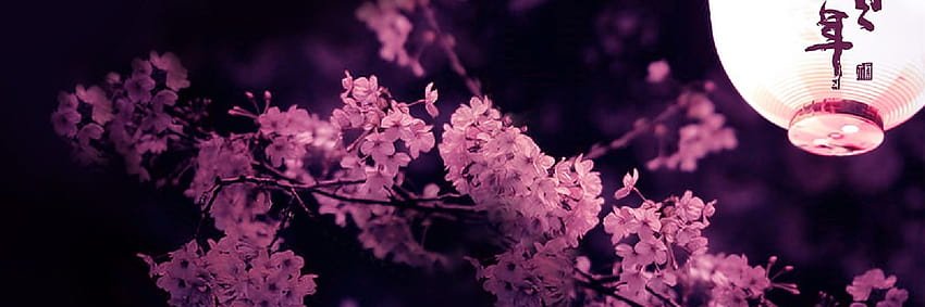 kimsakura3's profile banner image