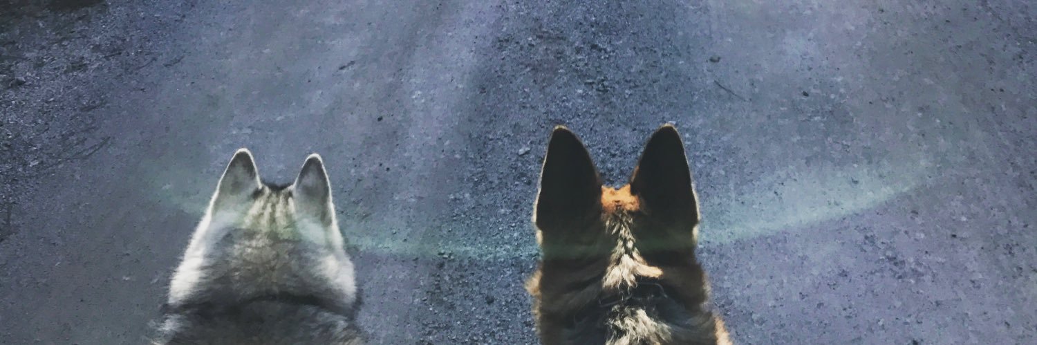 honeyiliciouss's profile banner image