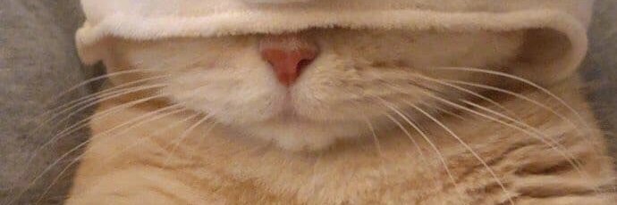 ni☃️ banner