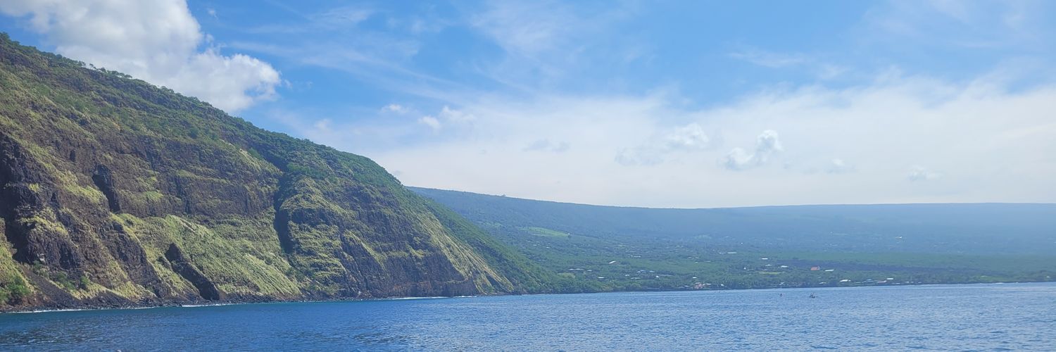 Constance Waddel-Owens, MPH, PhD banner