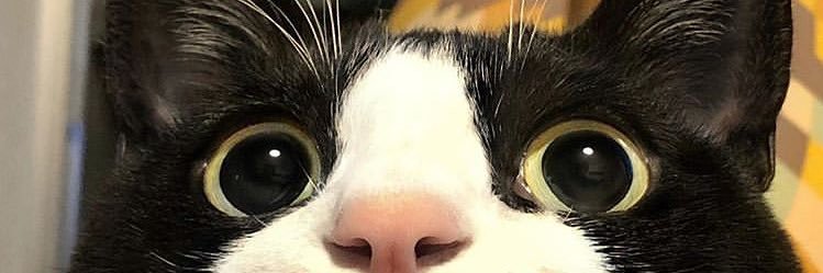 tsmllll's profile banner image