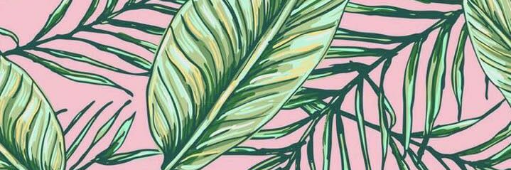 sissibaraR's profile banner image