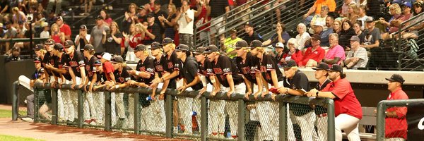 LLC_Baseball Profile Banner