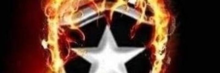 Botafogo-Não se Compara banner