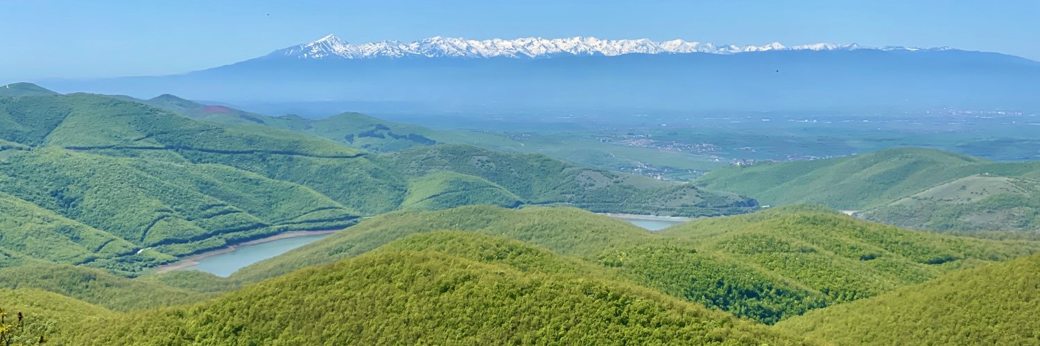 Mentor Latifi banner