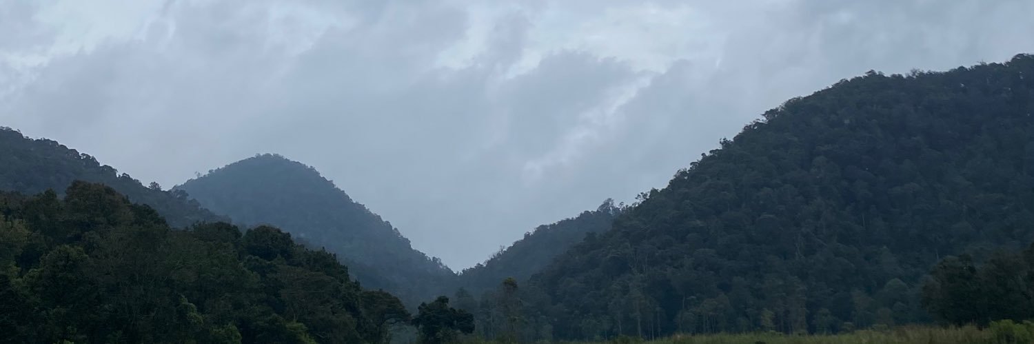 who? banner