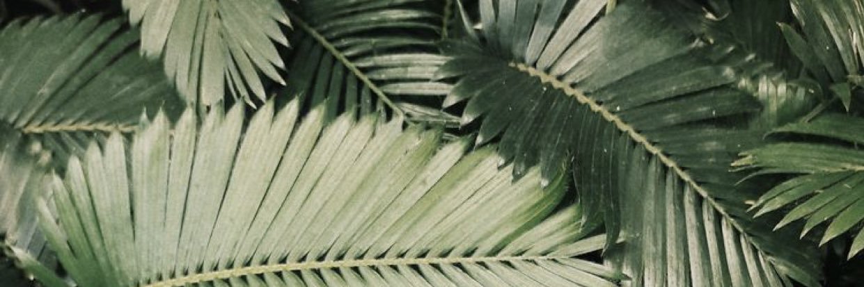 andreaaMs5's profile banner image