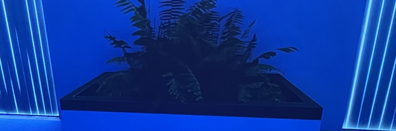 Kiara🤍 banner