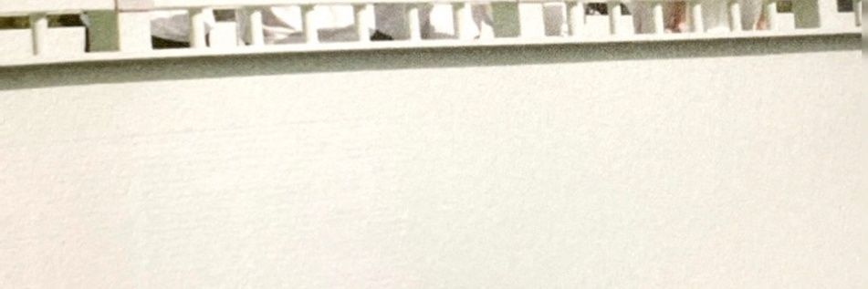 🐻 banner