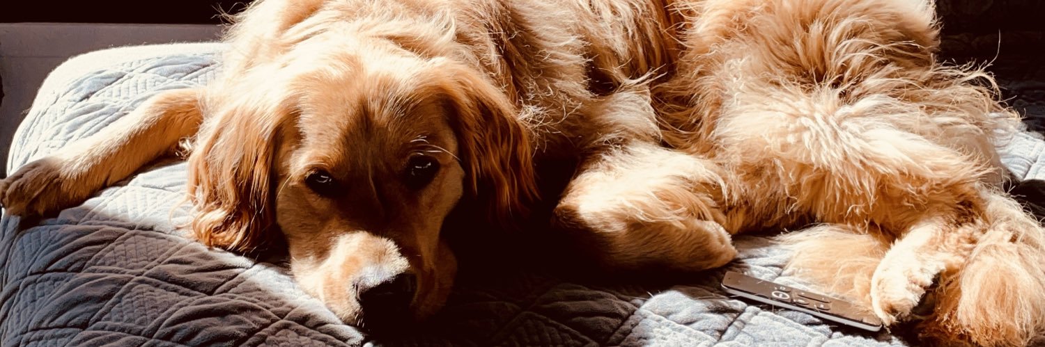 Federico Ling banner