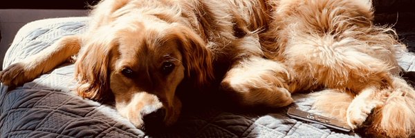 fedeling Profile Banner