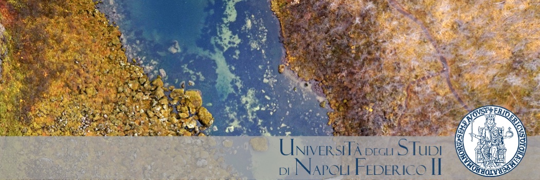 Salvatore Manfreda banner