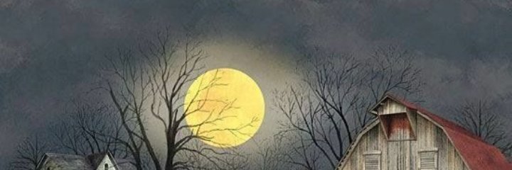 SpookyLady2's profile banner image