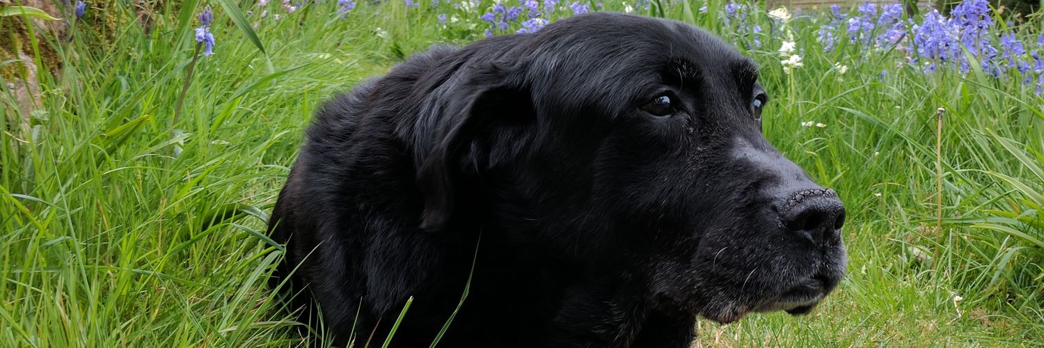 Ben_Rick_'s profile banner image