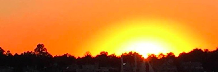 Carrieodonfire's profile banner image