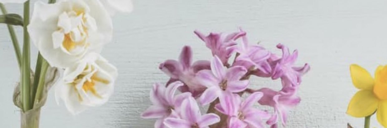 _Pinarcell_'s profile banner image