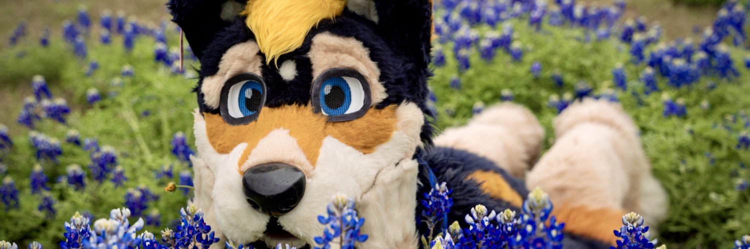 🐾Azflip 🐺 banner