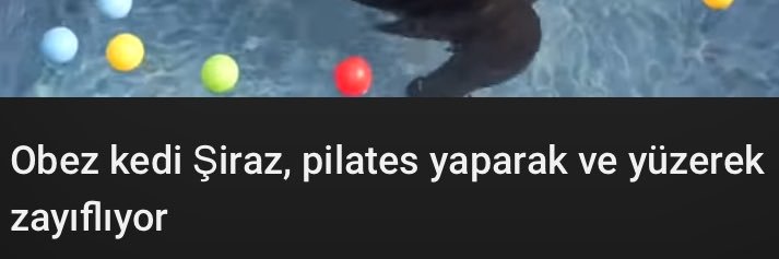 herhangi biri banner